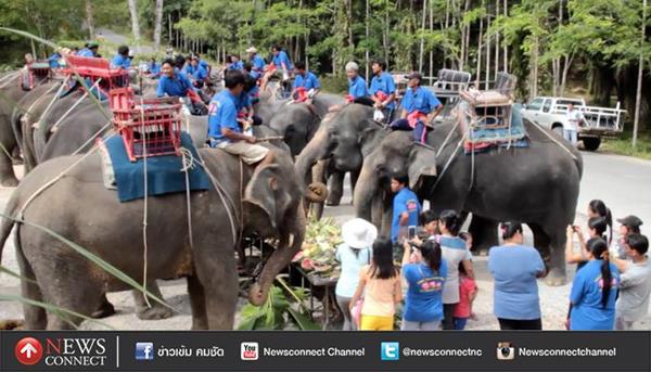 โต๊ะจีนช้าง