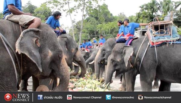 โต๊ะจีนช้าง