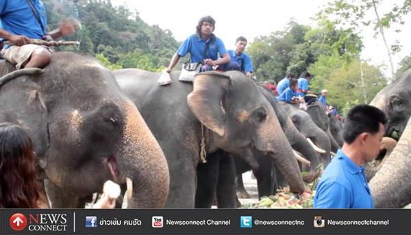 โต๊ะจีนช้าง