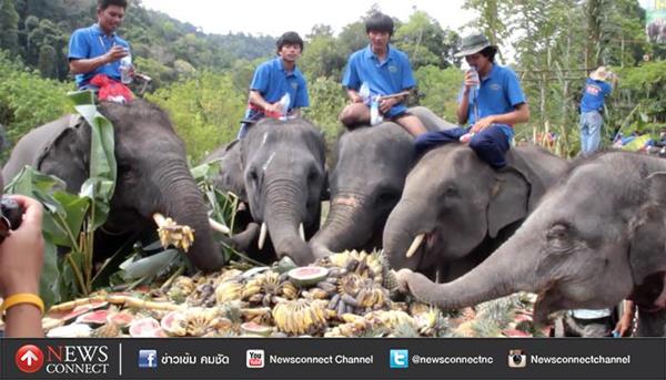 โต๊ะจีนช้าง