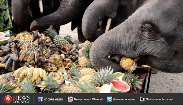 โต๊ะจีนช้าง