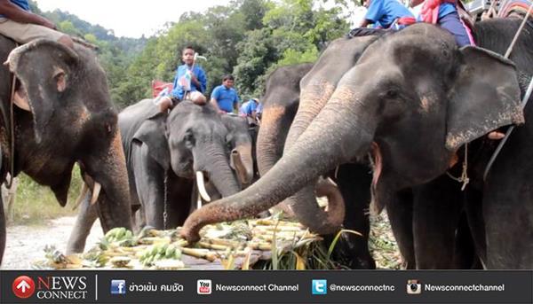 โต๊ะจีนช้าง