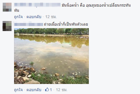 ปลาน็อคน้ำ ที่สระน้ำทุ่งนาเชย จันทบุรี