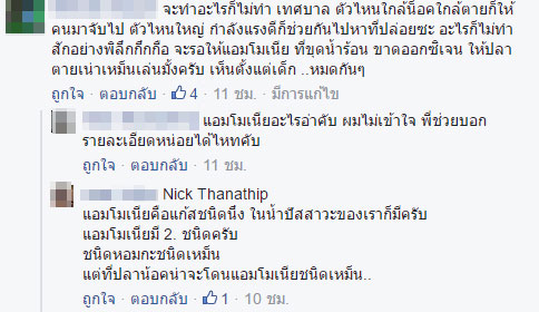 ปลาน็อคน้ำ ที่สระน้ำทุ่งนาเชย จันทบุรี