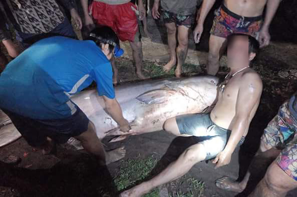 ปลาน็อคน้ำ ที่สระน้ำทุ่งนาเชย จันทบุรี