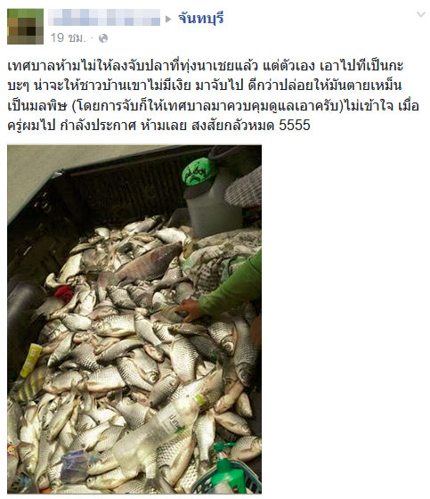 ปลาน็อคน้ำ ที่สระน้ำทุ่งนาเชย จันทบุรี