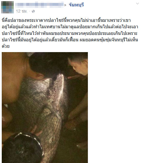 ปลาน็อคน้ำ ที่สระน้ำทุ่งนาเชย จันทบุรี