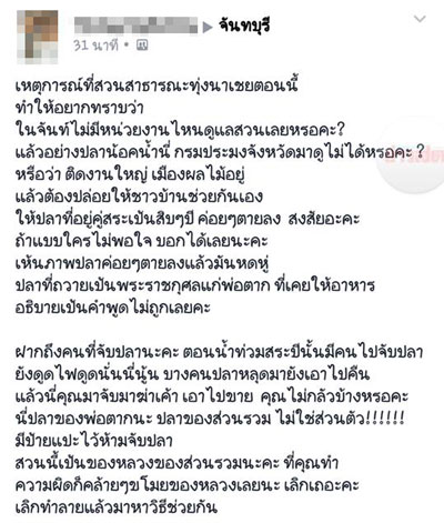 ปลาน็อคน้ำ ที่สระน้ำทุ่งนาเชย จันทบุรี