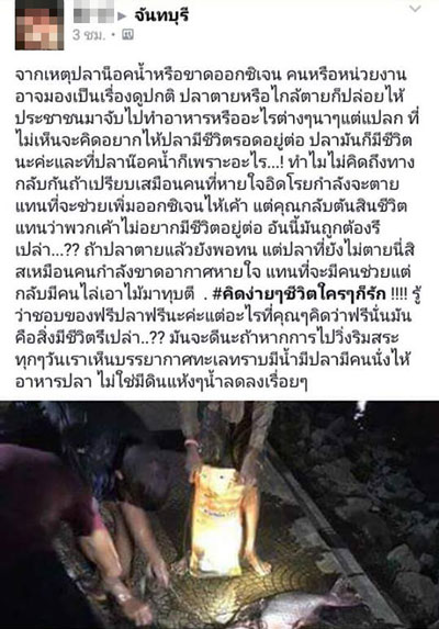 ปลาน็อคน้ำ ที่สระน้ำทุ่งนาเชย จันทบุรี