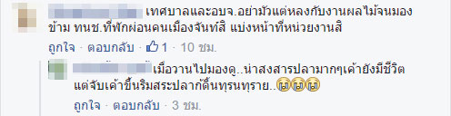 ปลาน็อคน้ำ ที่สระน้ำทุ่งนาเชย จันทบุรี