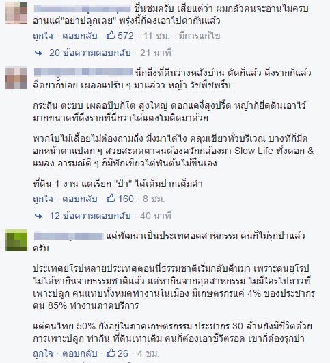 บก.ลายจุด บอกอย่าปลูกเลย หลัง โจอี้ บอย ชวนปลูกป่า