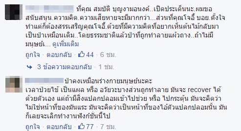 บก.ลายจุด บอกอย่าปลูกเลย หลัง โจอี้ บอย ชวนปลูกป่า
