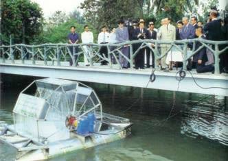 ในหลวง รัชกาลที่ 9