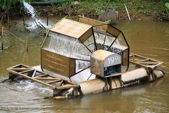 ในหลวง รัชกาลที่ 9