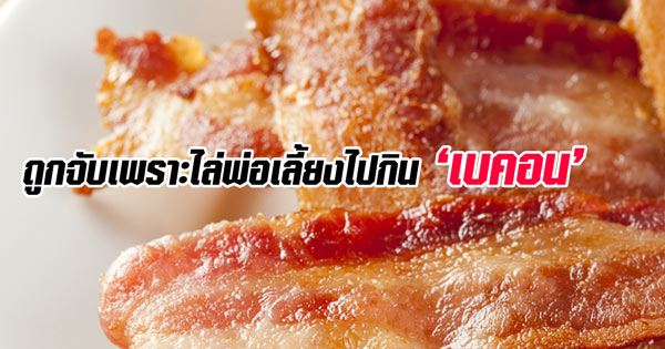 ถูกจับเพราะไล่พ่อเลี้ยงไปกินเบคอน