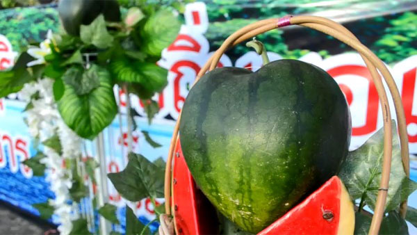 แตงโมรูปหัวใจ