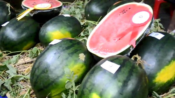 แตงโมรูปหัวใจ