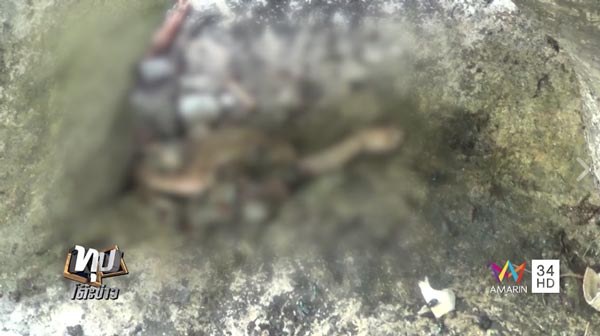 ตัวเงินตัวทองกินศพทารก