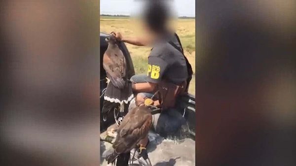 1 ในแก๊งเลี้ยงเหยี่ยวเข้าพบตำรวจ