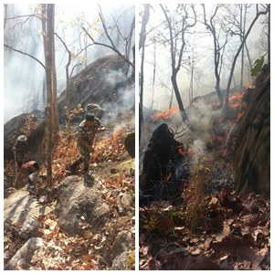 ลักลอบเผาป่า เชียงใหม่