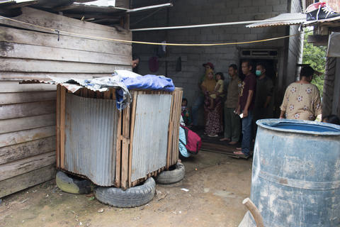 อุรังอุตัง