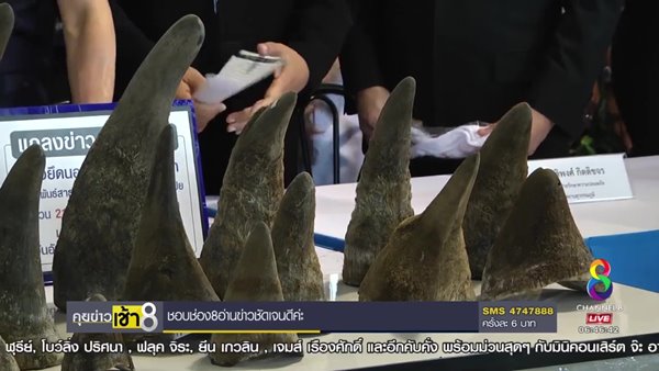 คลิปตำรวจ ข้าราชการ เอี่ยวค้านอแรด