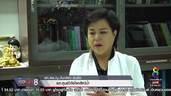 เต่าออมสิน