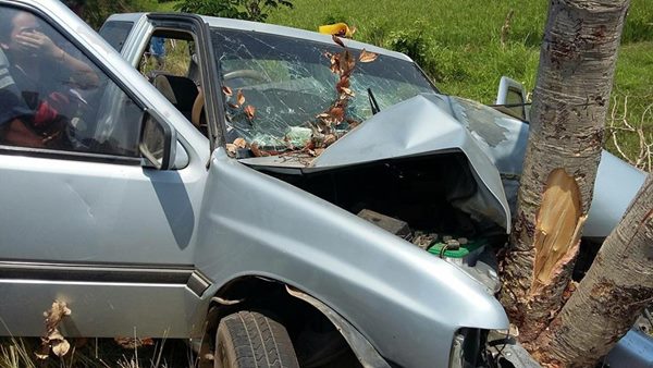 รถกระบะชนต้นไม้