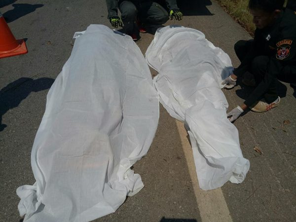 รถกระบะชนต้นไม้