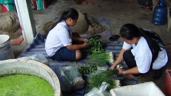 สองผัวเมียแพะเผาสวนยาง