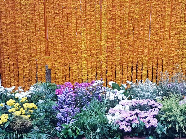 ซุ้มดอกไม้เพื่อพ่อ