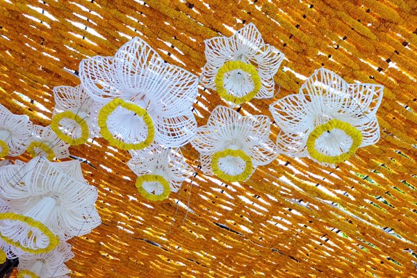 ซุ้มดอกไม้เพื่อพ่อ