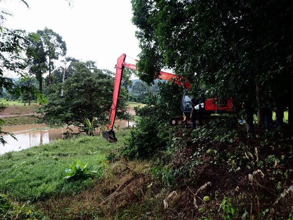 ช้างป่าตกคลองชมพู