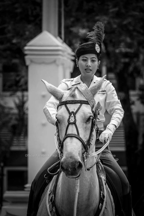 พระเจ้าหลานเธอ พระองค์เจ้าสิริวัณณวรีนารีรัตน์