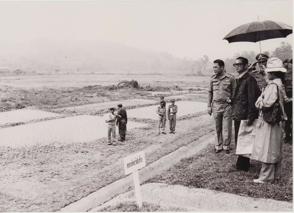 หนุ่มอังกฤษสงสัย ทำไมคนไทยถึงร้องไห้เมื่อในหลวง ร.9 สวรรคต