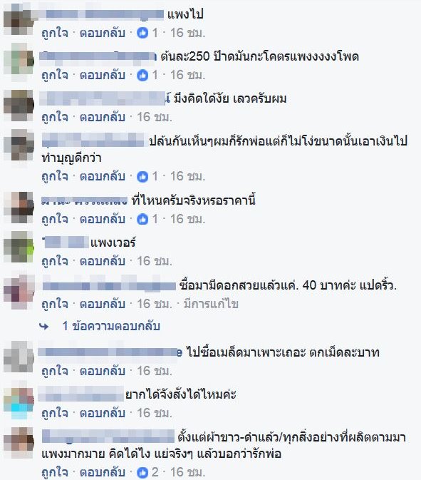 ต้นดาวเรือง