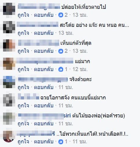 ต้นดาวเรือง