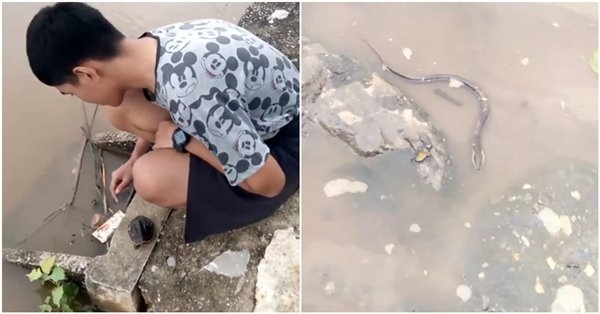 ปล่อยสัตว์สะเดาะเคราะห์ ได้บุญหรือบาป