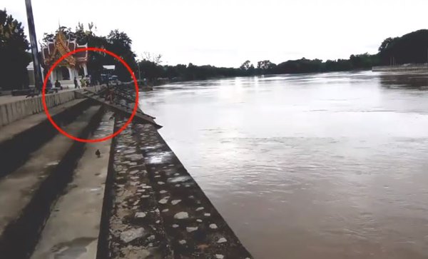 ปล่อยสัตว์สะเดาะเคราะห์ ได้บุญหรือบาป