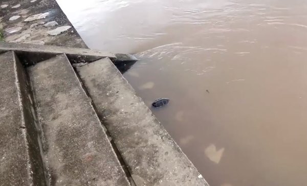 ปล่อยสัตว์สะเดาะเคราะห์ ได้บุญหรือบาป