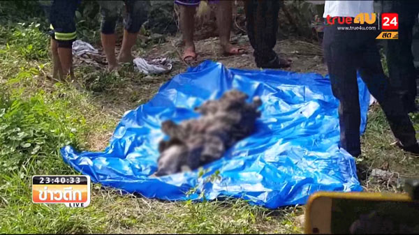 ฆ่าเด็ก 16 ฝังดิน