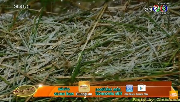 แม่คะนิ้ง