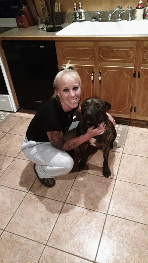 พิตบูลขย้ำคน