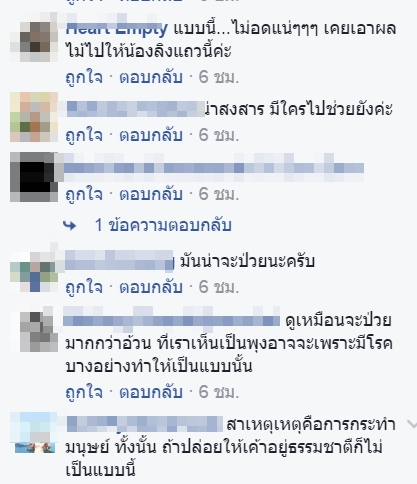 ลุงอ้วน ลิงอ้วนจุดชมวิวบางขุนเทียน