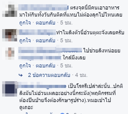 ลุงอ้วน ลิงอ้วนจุดชมวิวบางขุนเทียน