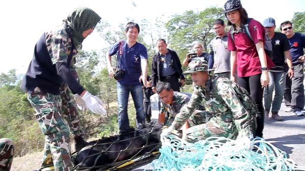 หมีควายตกเฮลิคอปเตอร์