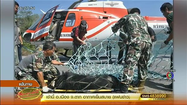 หมีควายตกเฮลิคอปเตอร์