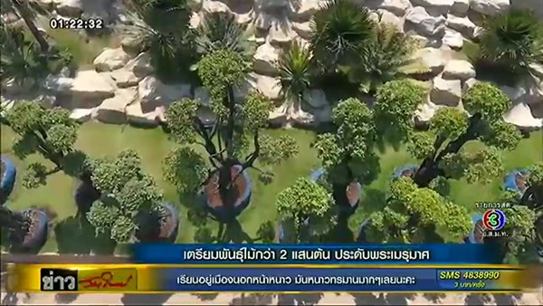 เปิดภาพล่าสุด การสร้างพระเมรุมาศ - เตรียมพันธุ์ไม้กว่า 2 แสนต้นประดับ