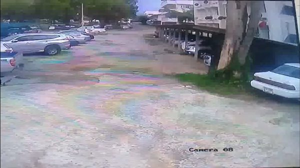 ต้นไม้ล้มทับรถเก๋ง