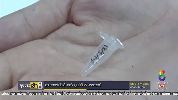 จับแก๊งอุ้มบุญ